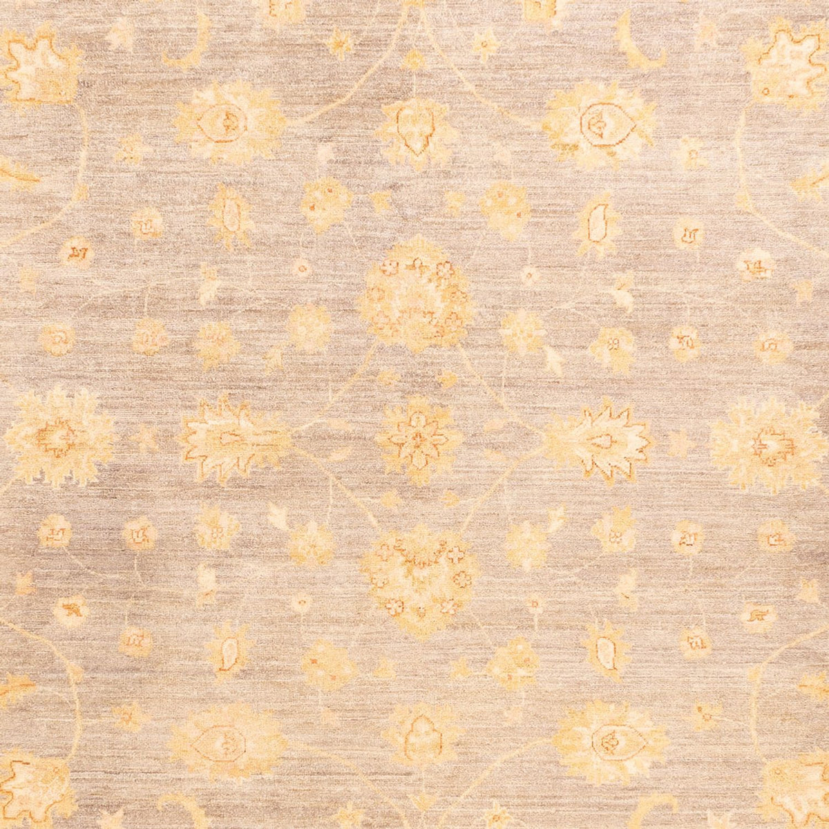 Ziegler Carpet - 354 x 260 cm - beige
