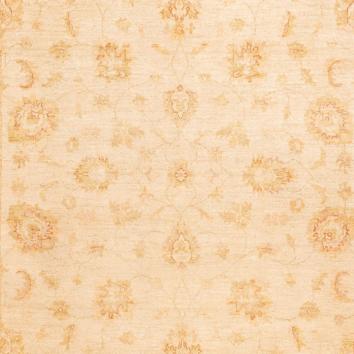 Ziegler Carpet - 350 x 253 cm - beige