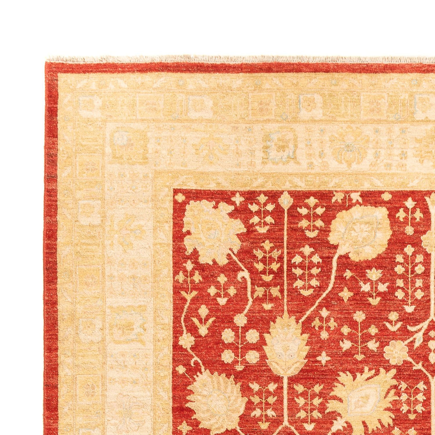 Ziegler Carpet 343x254cm - Oriental Carpet