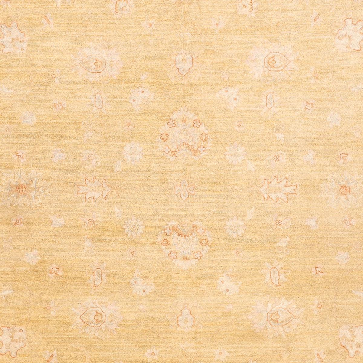 Ziegler Carpet - 350 x 255 cm - beige