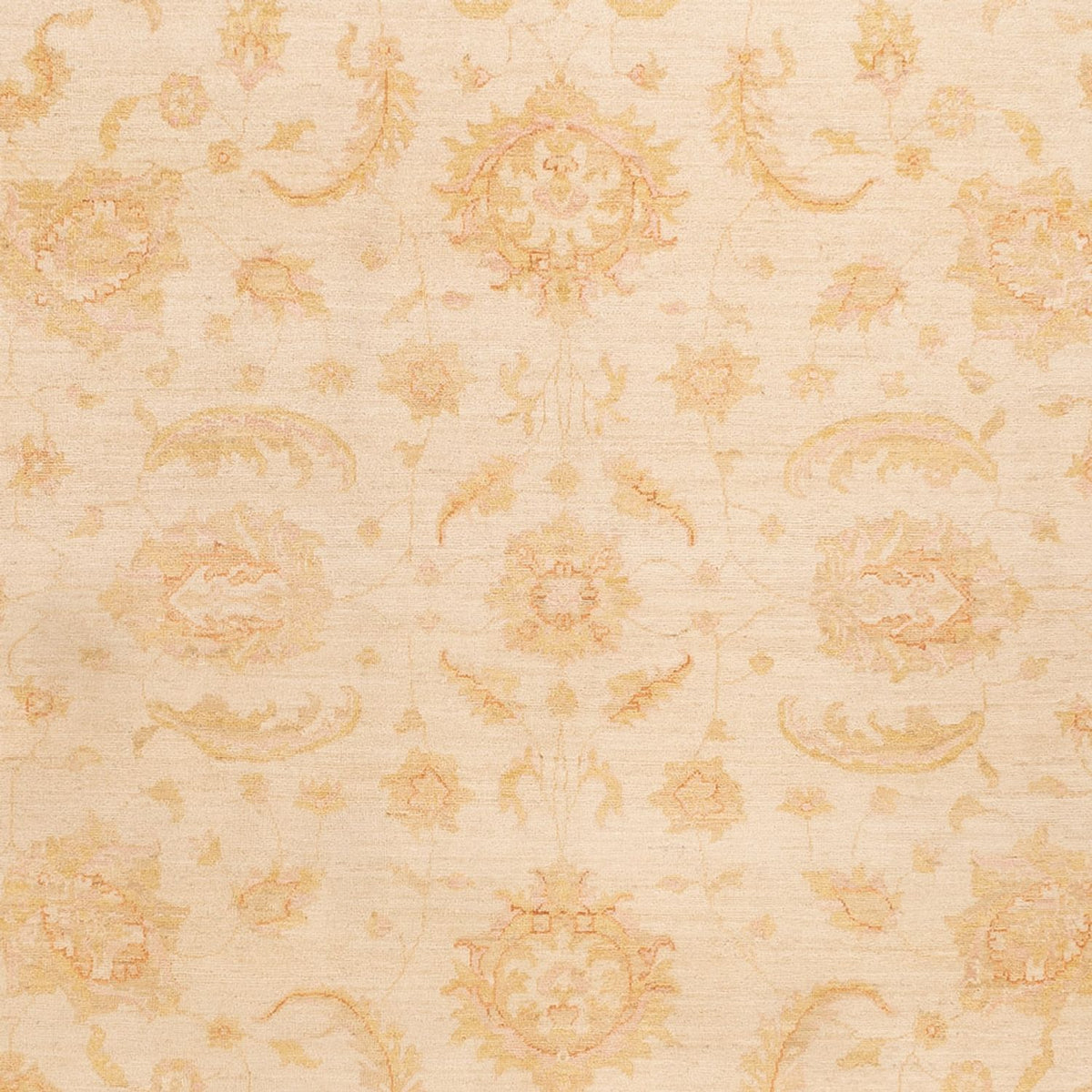 Ziegler Carpet - 342 x 256 cm - beige