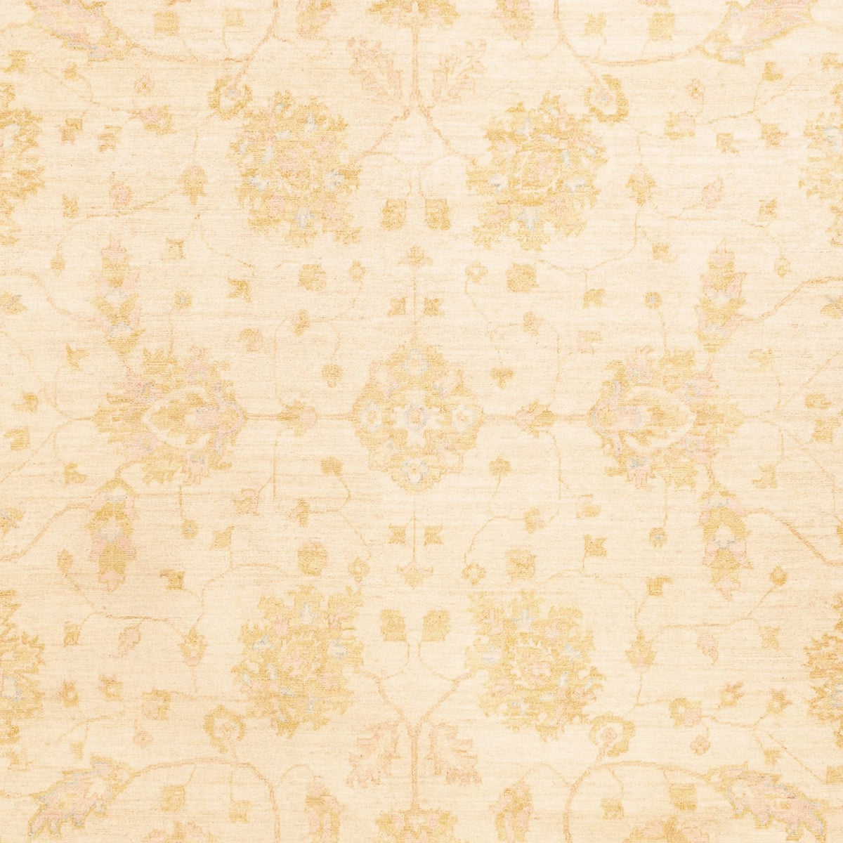Ziegler Carpet - 341 x 258 cm - beige