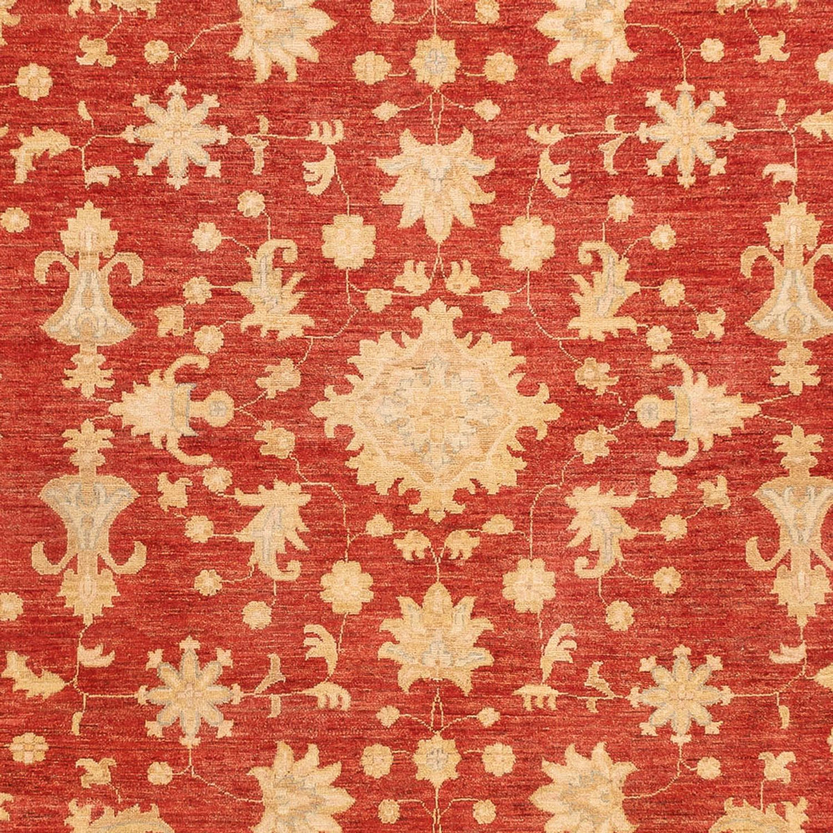 Ziegler Carpet - 343 x 254 cm - röd