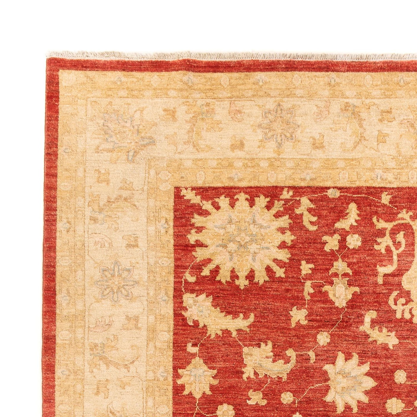 Ziegler Carpet 343x254cm - Oriental Carpet