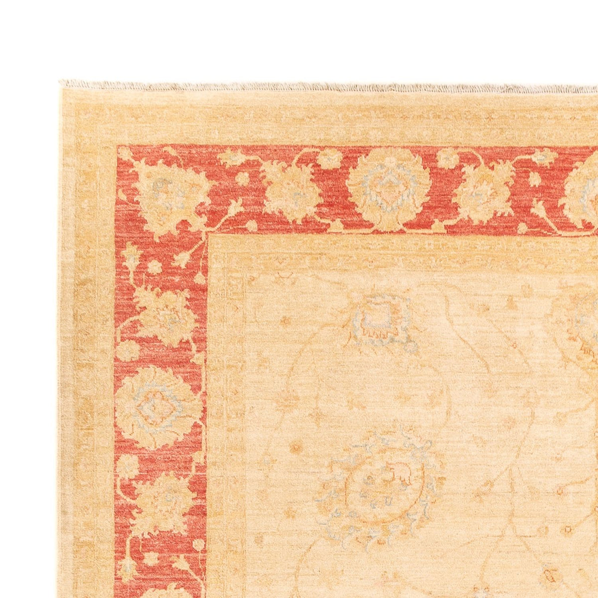 Ziegler Carpet - 347 x 256 cm - beige