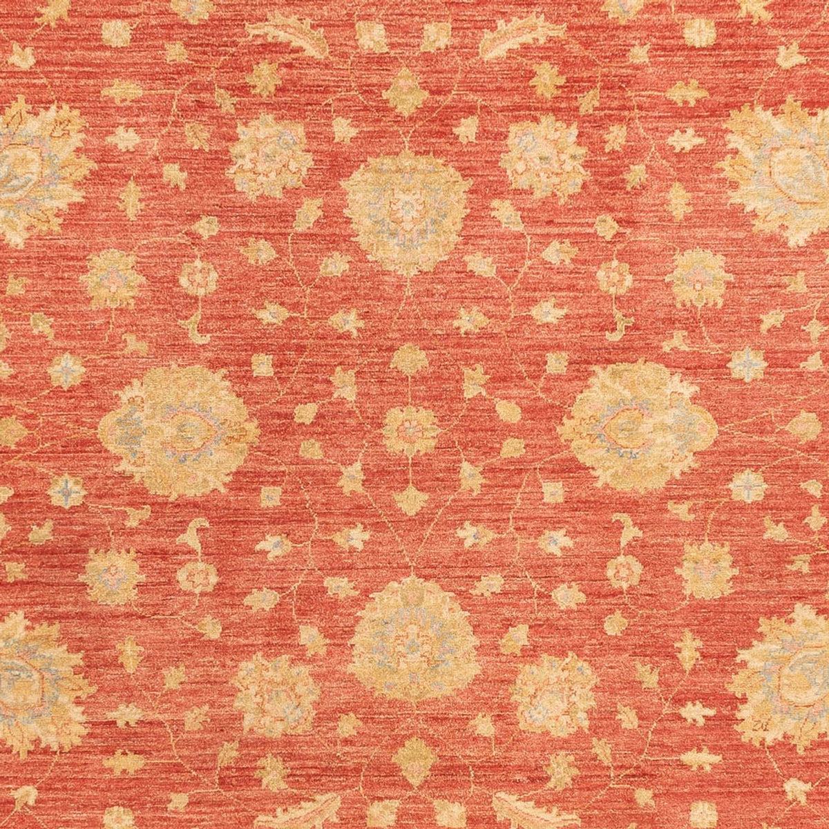 Ziegler Carpet - 344 x 257 cm - röd