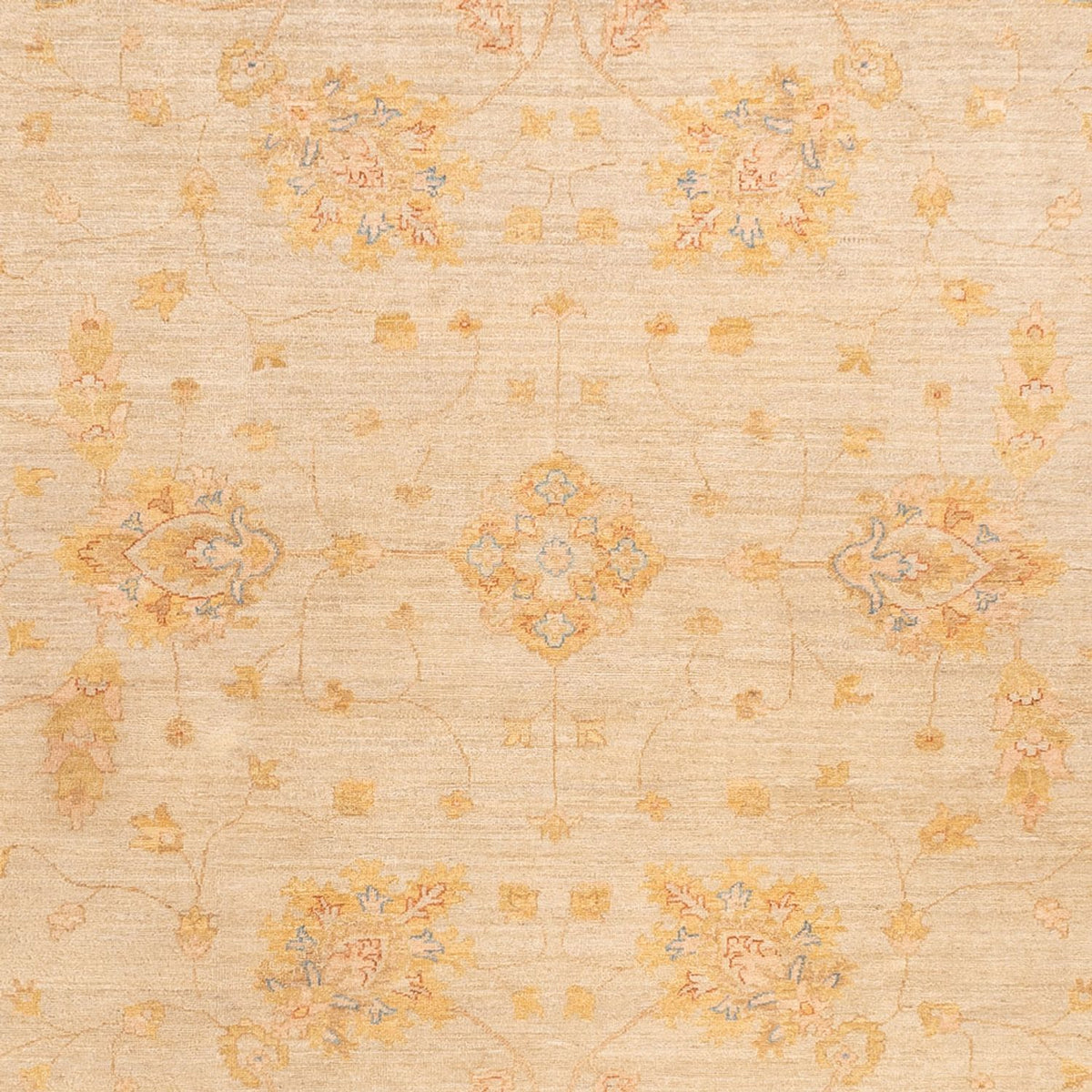 Ziegler Carpet - 348 x 255 cm - beige