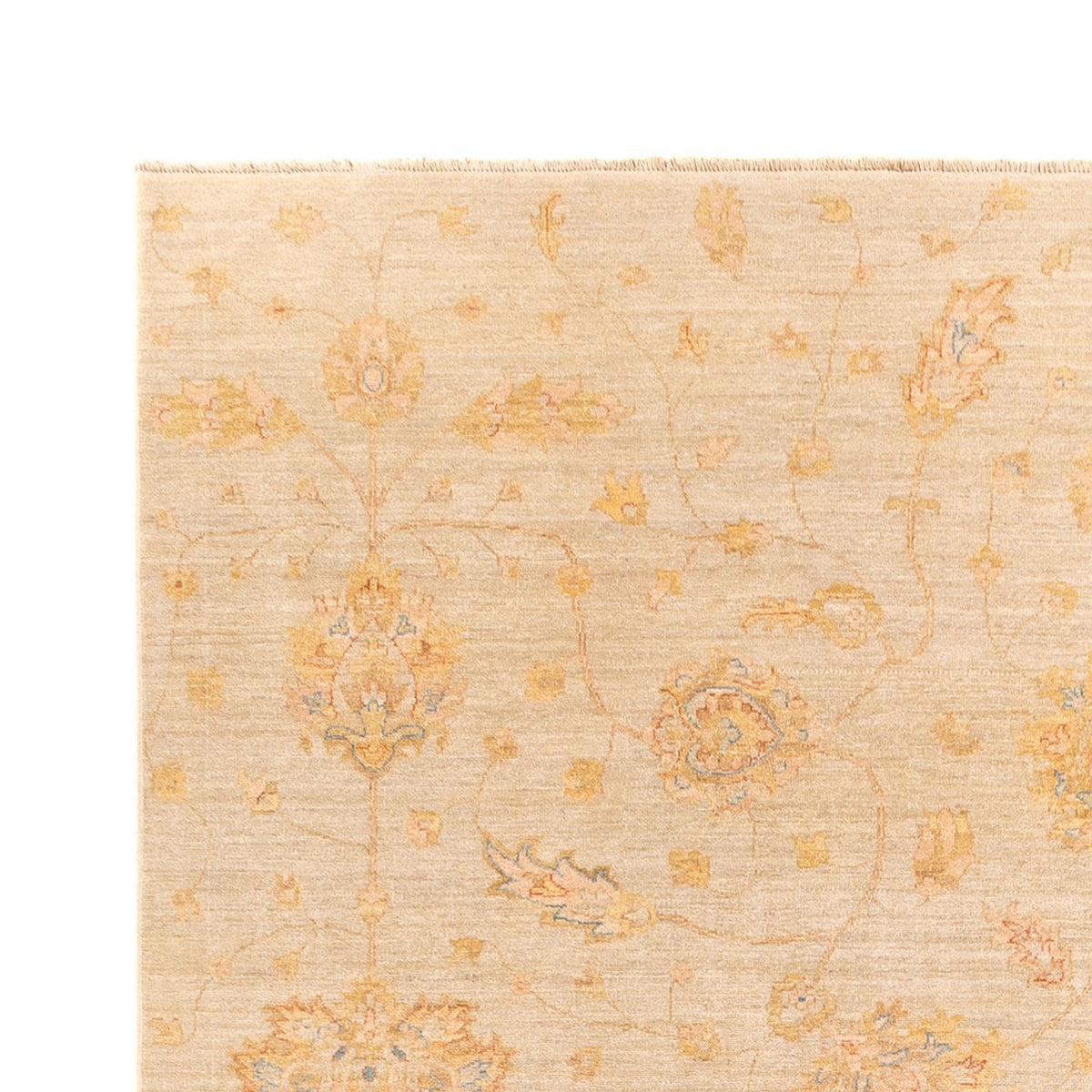 Ziegler Carpet - 348 x 255 cm - beige