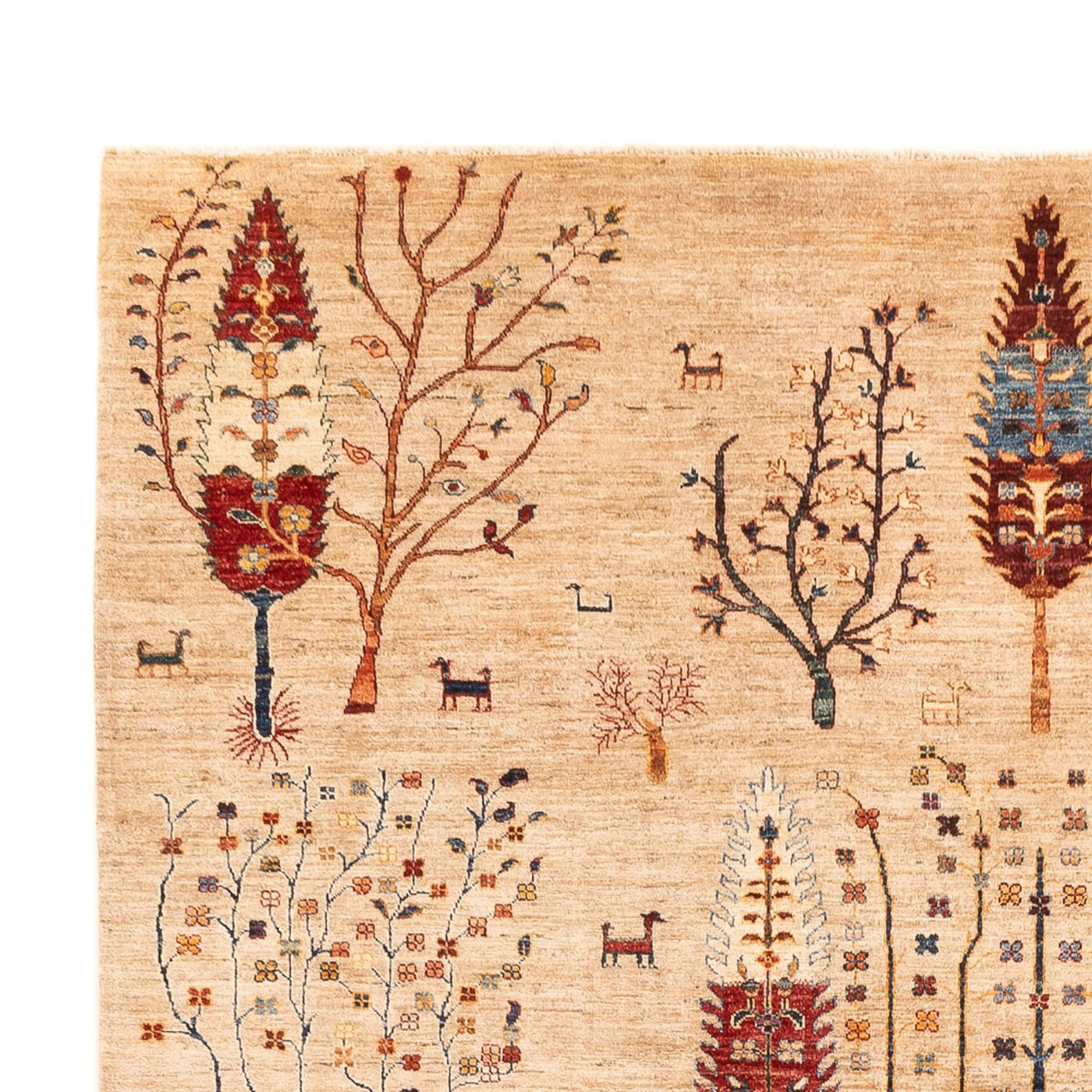 Ariana Mattan 352x241cm - Oriental Carpet
