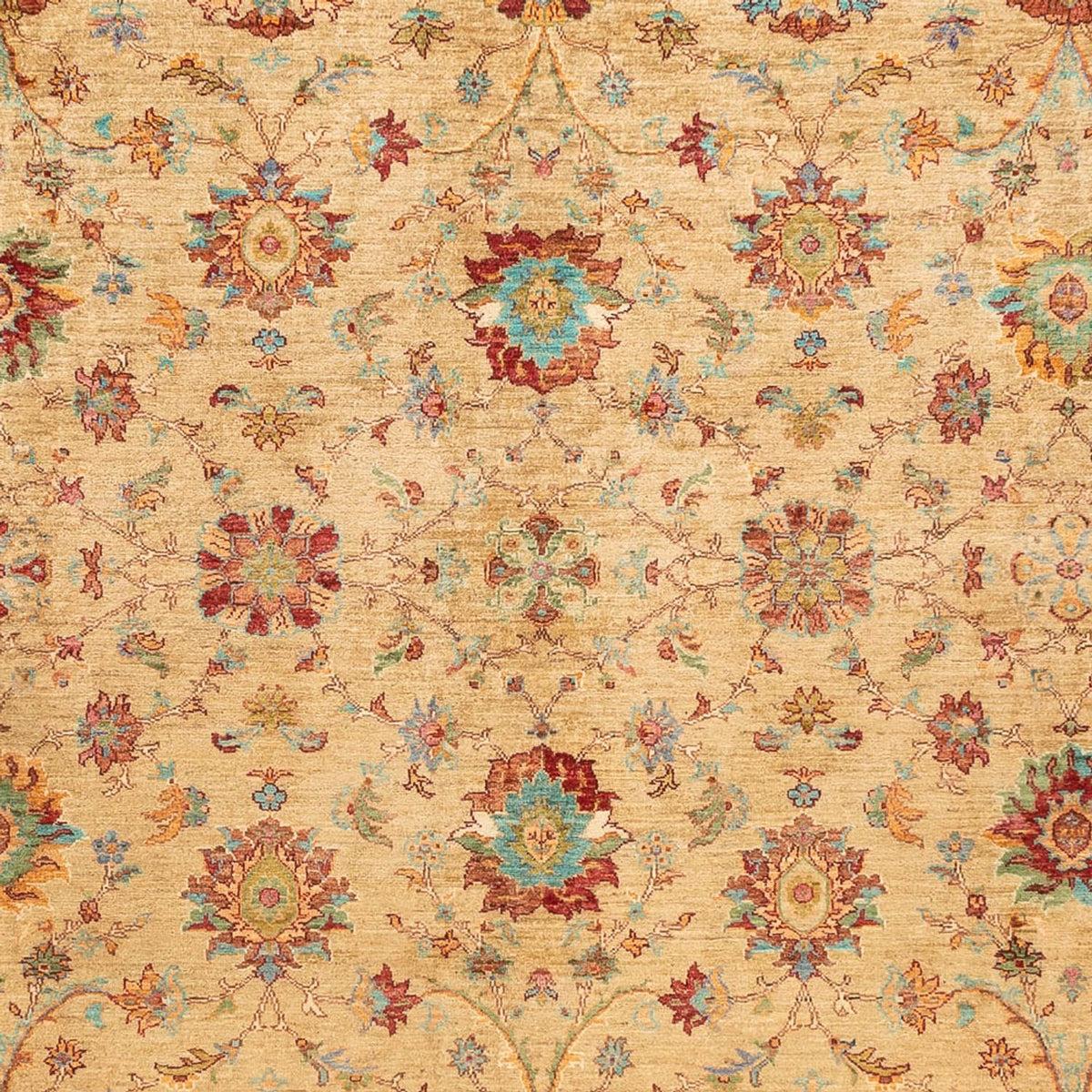 Ziegler Carpet - Ariana - 331 x 239 cm - beige