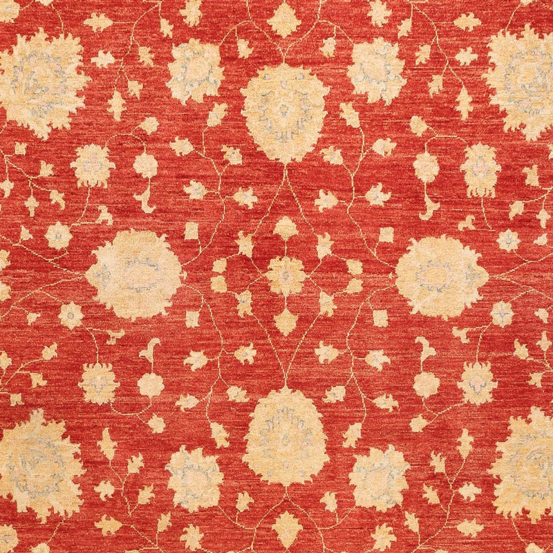Ziegler Carpet - 355 x 254 cm - röd