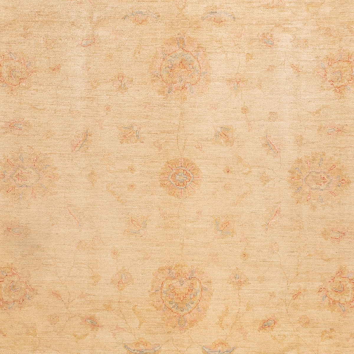 Ziegler Carpet - 350 x 252 cm - beige