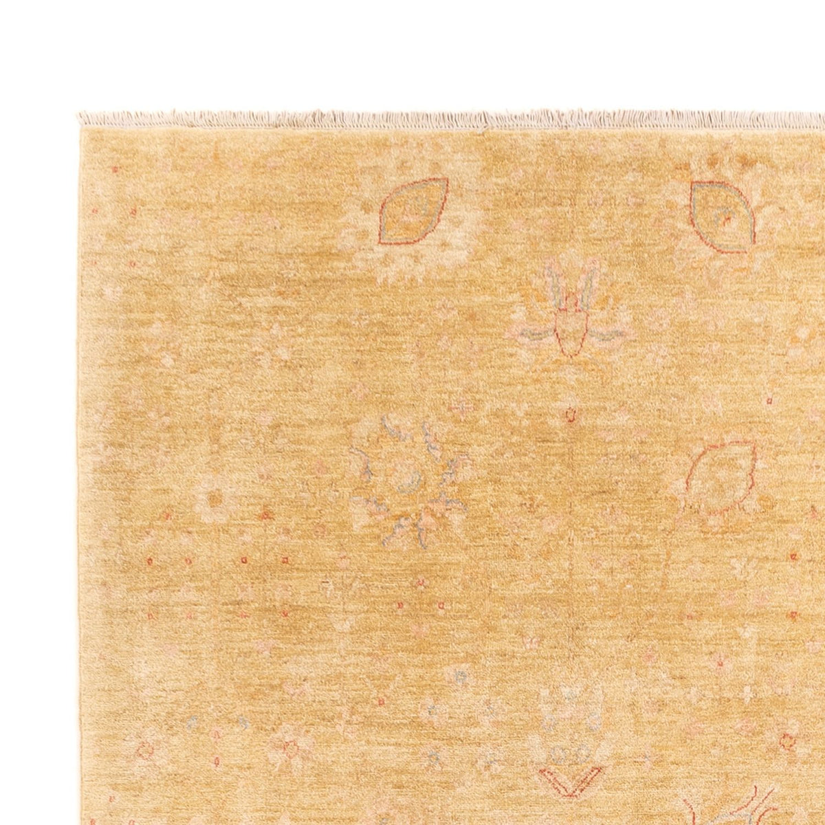 Ziegler Carpet - 323 x 248 cm - beige
