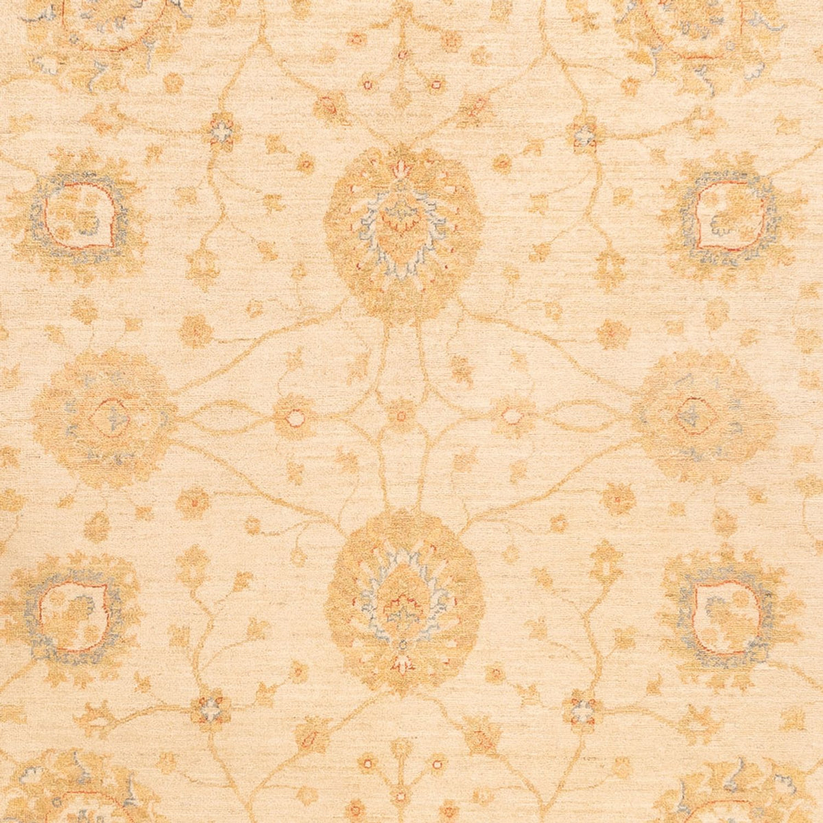 Ziegler Carpet - 325 x 250 cm - beige