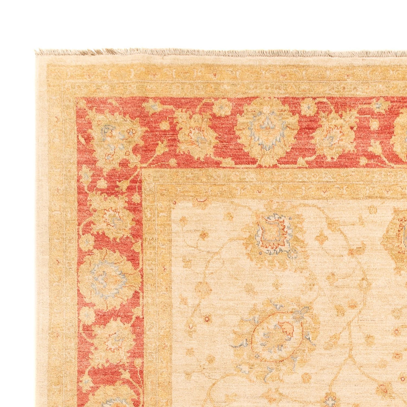 Ziegler Carpet 325x250cm - Oriental Carpet