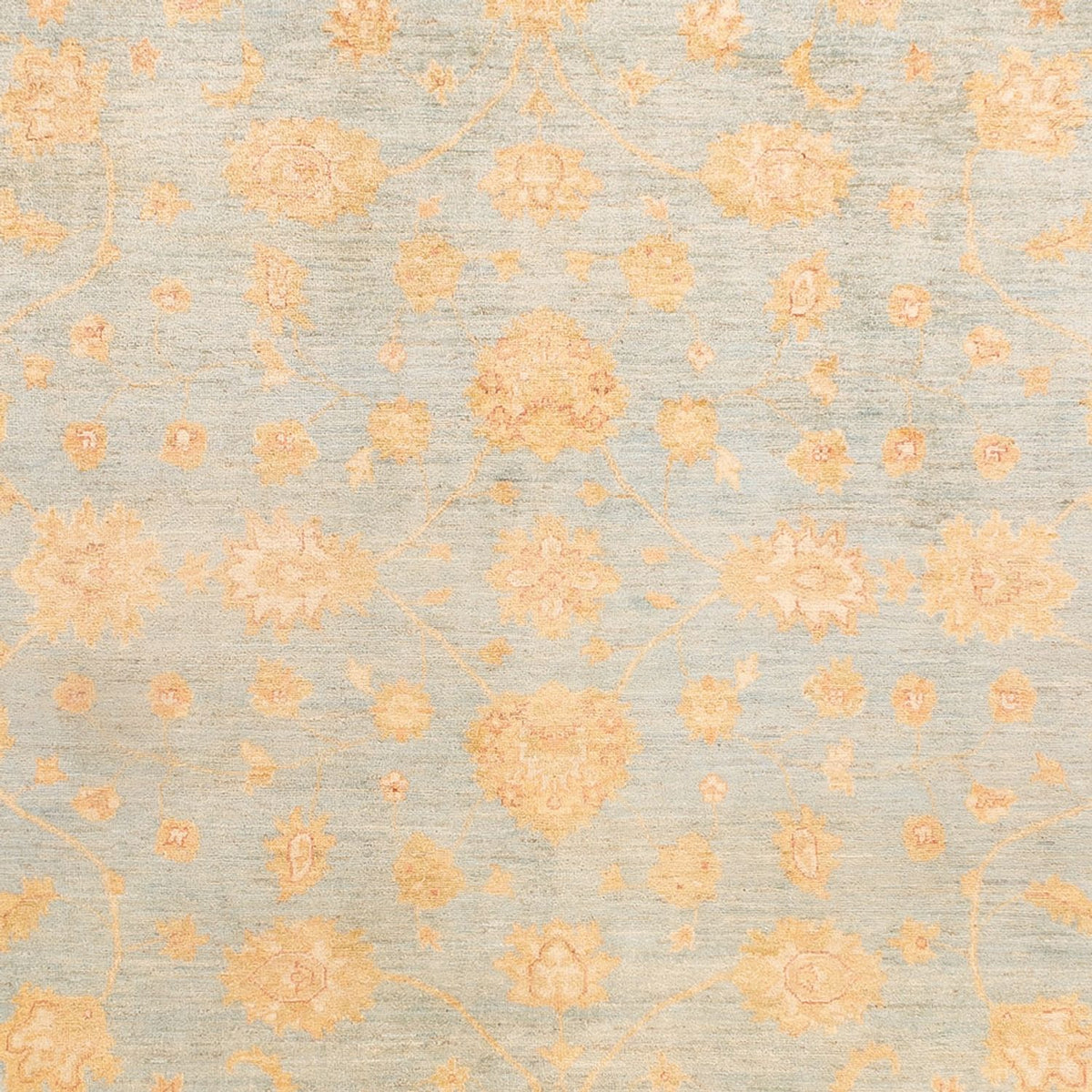 Ziegler Carpet - 342 x 257 cm - ljusblå