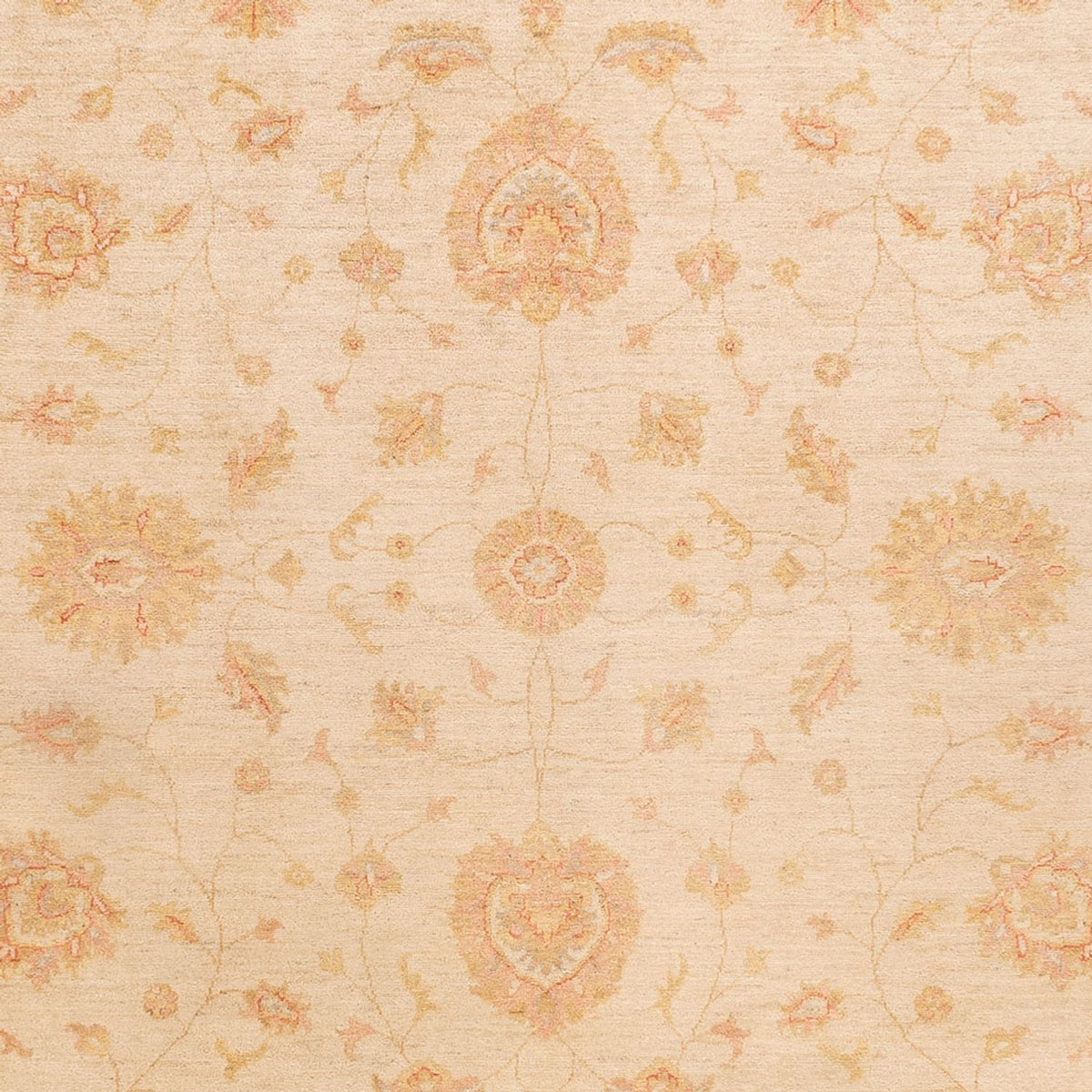 Ziegler Carpet - 346 x 257 cm - beige