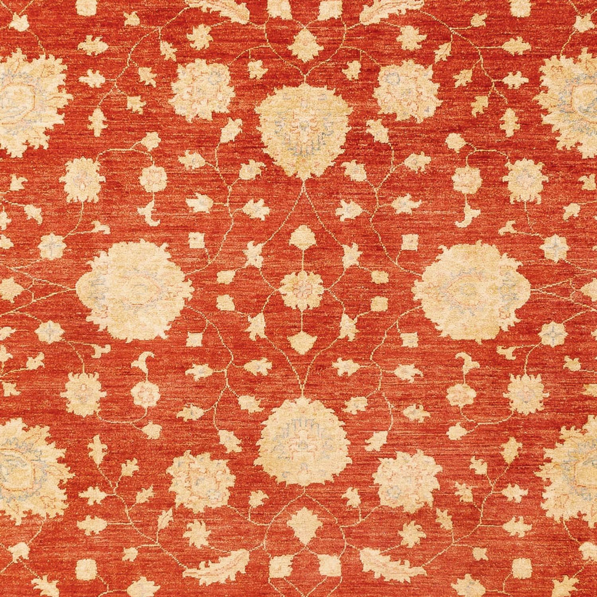 Ziegler Carpet - 336 x 258 cm - röd