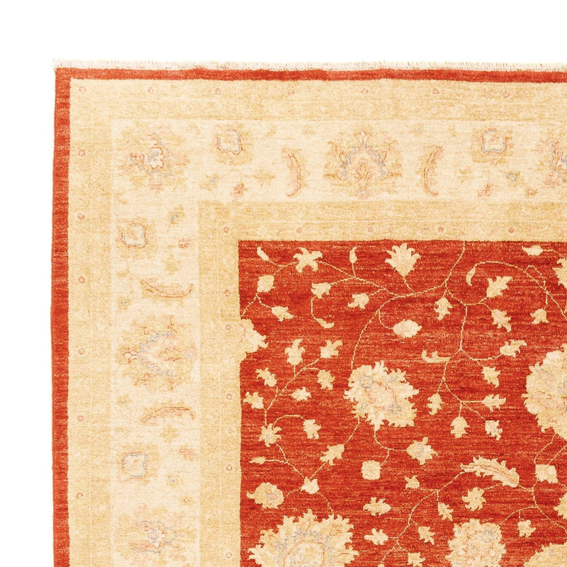 Ziegler Carpet - 336 x 258 cm - röd