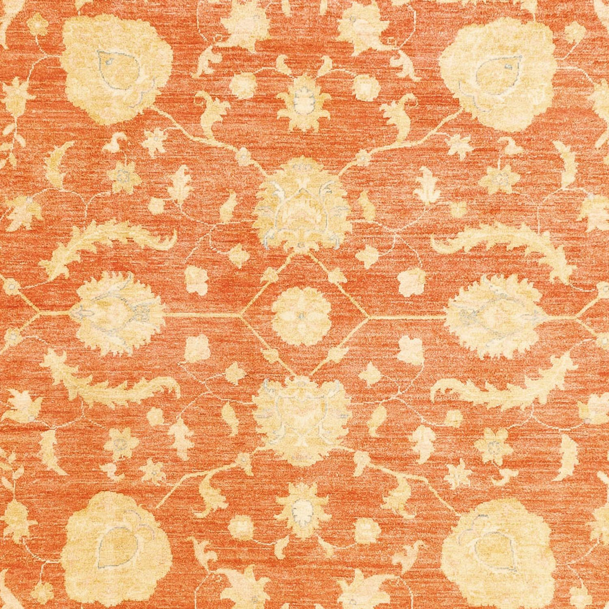 Ziegler Carpet - 352 x 258 cm - röd