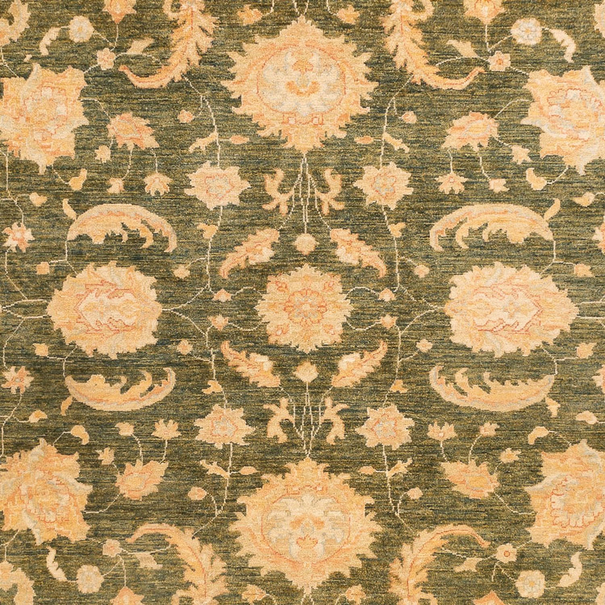 Ziegler Carpet - 346 x 258 cm - olivgrön