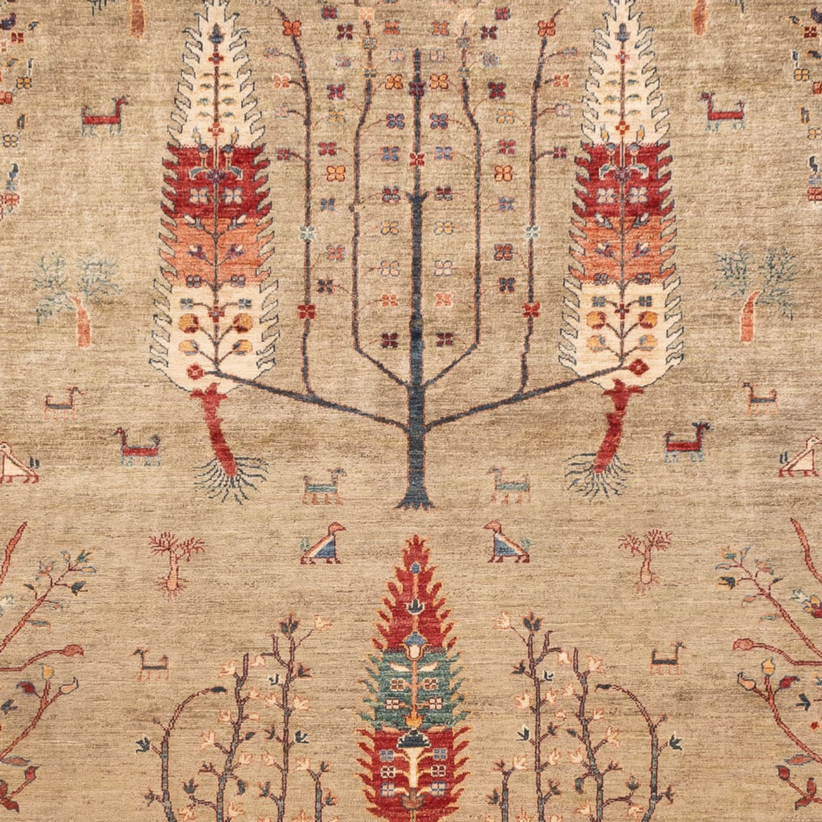 Ziegler Carpet - Ariana - 342 x 246 cm - sand