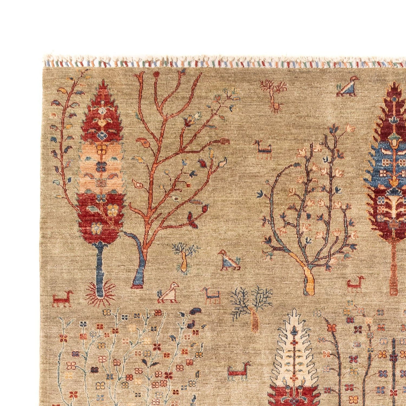Ariana Mattan 342x246cm - Oriental Carpet