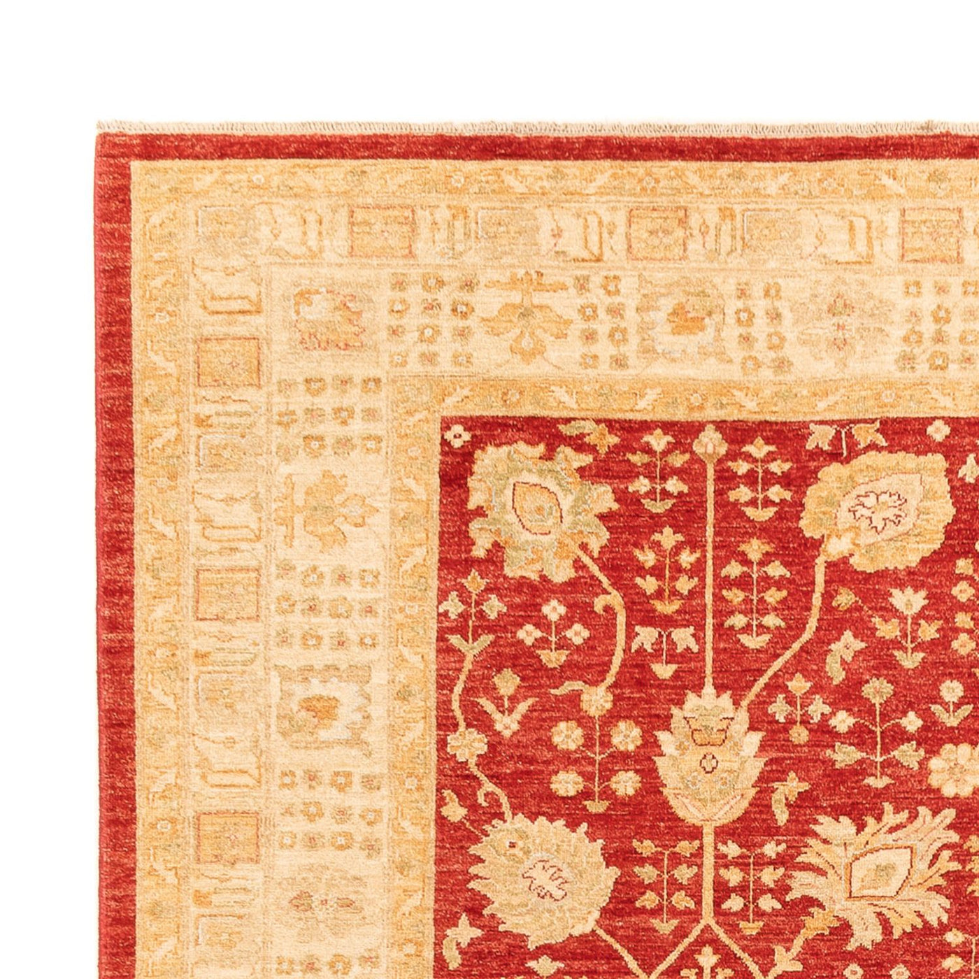 Ziegler Carpet 340x254cm - Oriental Carpet