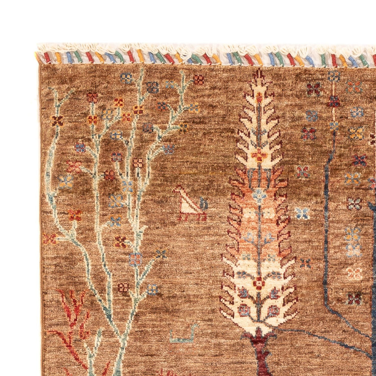 Ziegler Carpet - Ariana - 184 x 119 cm - mörk beige