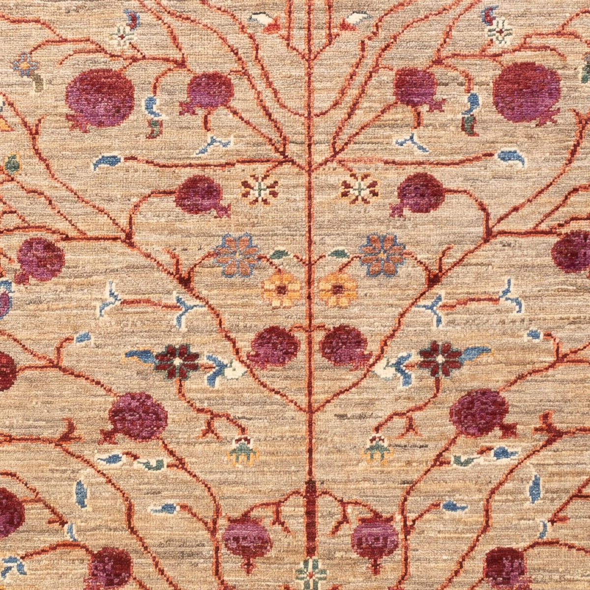 Ziegler Carpet - Ariana - 177 x 122 cm - beige