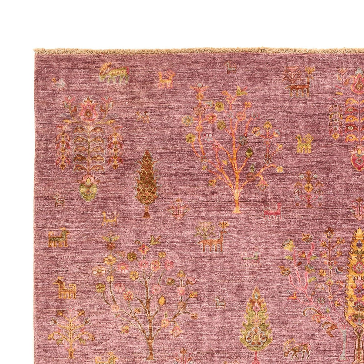 Ziegler Carpet - Ariana - 298 x 208 cm - lila