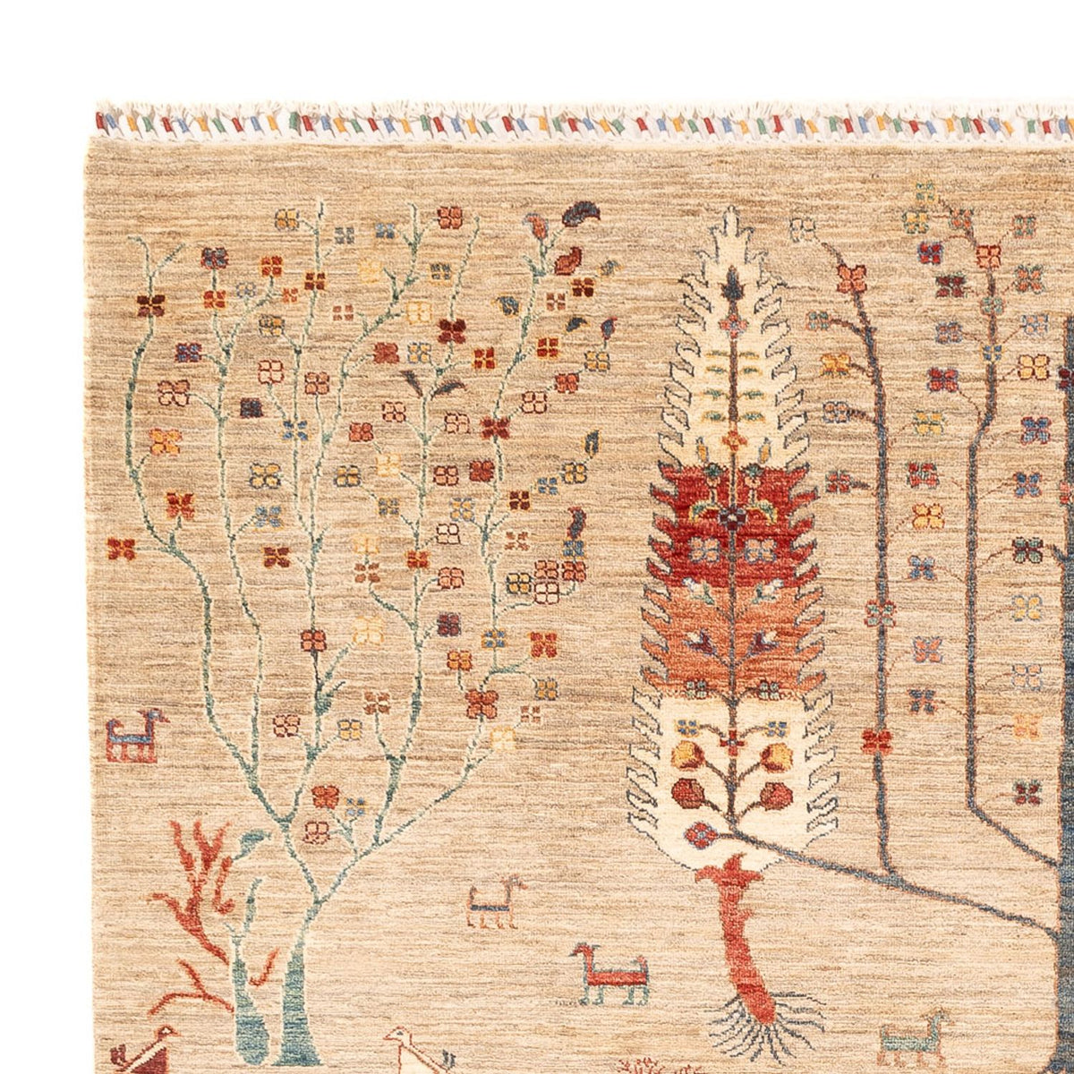 Ziegler Carpet - Ariana - 285 x 207 cm - ljusbeige