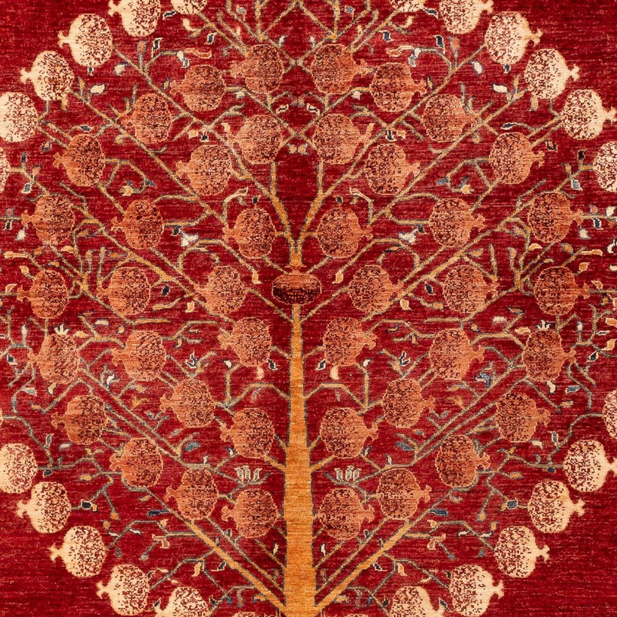 Ziegler Carpet - Ariana - 294 x 207 cm - röd