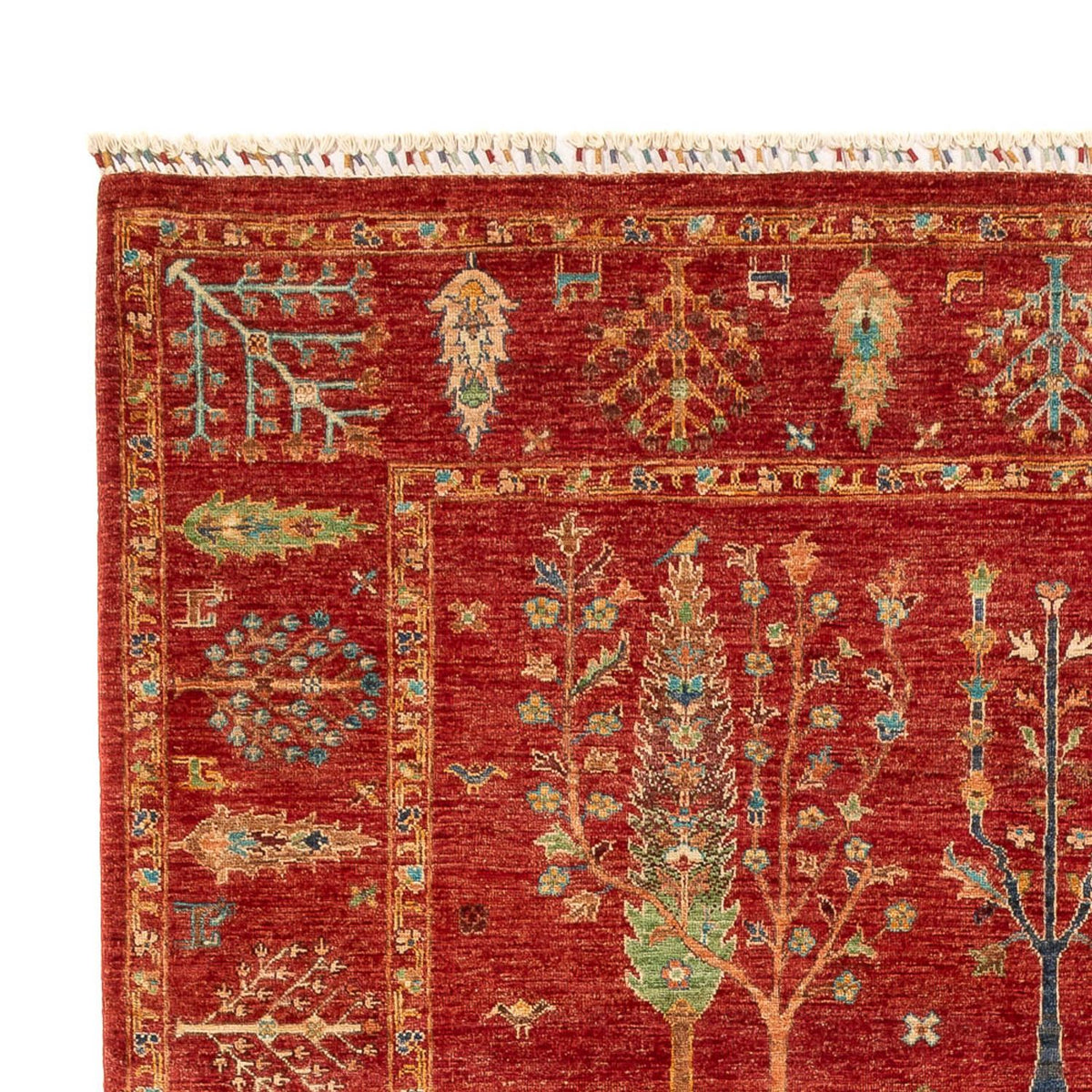 Ziegler Carpet - Ariana - 300 x 204 cm - röd