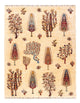 Ariana Mattan 170x218cm - Oriental Carpet