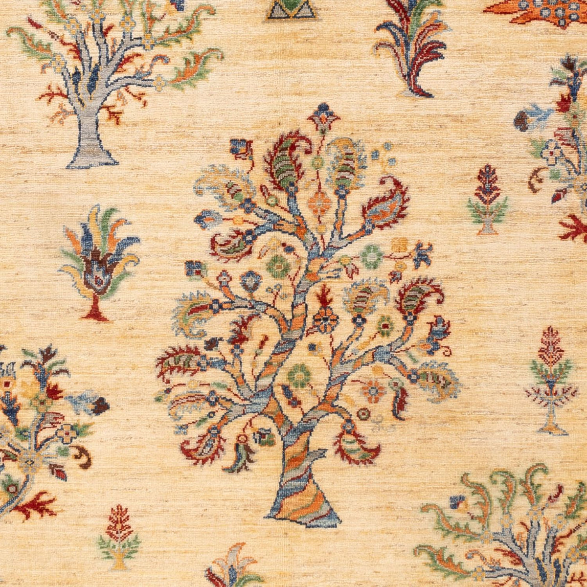 Ziegler Carpet - Ariana - 244 x 172 cm - ljusbeige