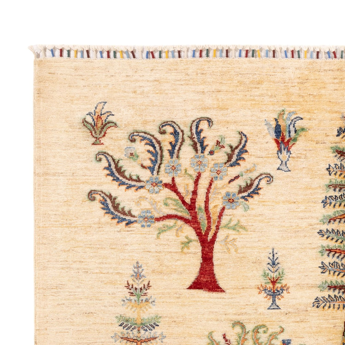 Ariana Mattan 244x172cm - Oriental Carpet