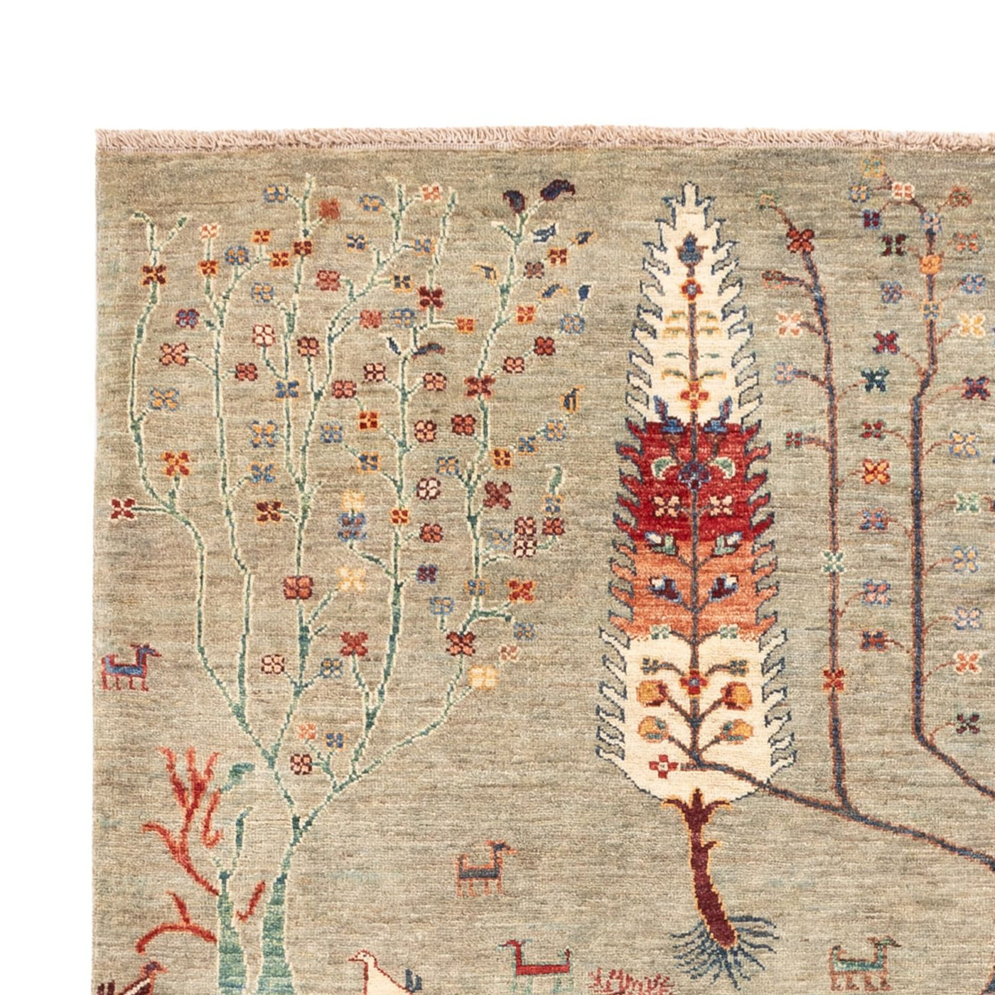 Ariana Mattan 244x173cm - Oriental Carpet