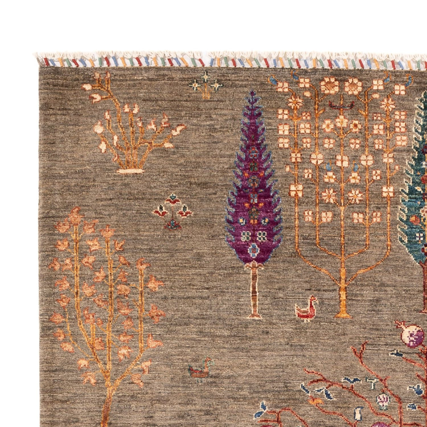 Ariana Mattan 245x172cm - Oriental Carpet