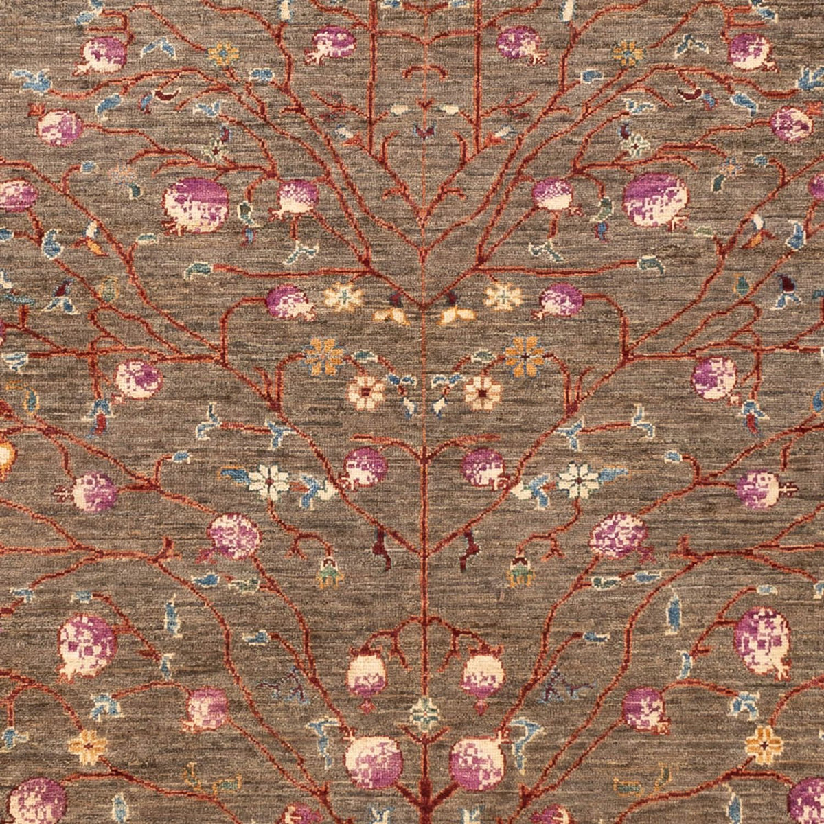 Ziegler Carpet - Ariana - 238 x 173 cm - olivgrön