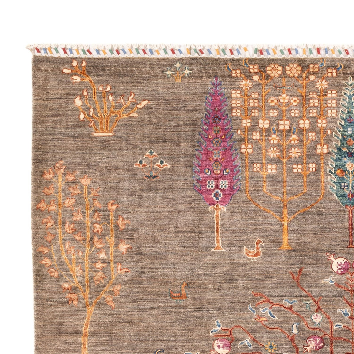 Ziegler Carpet - Ariana - 237 x 171 cm - grått