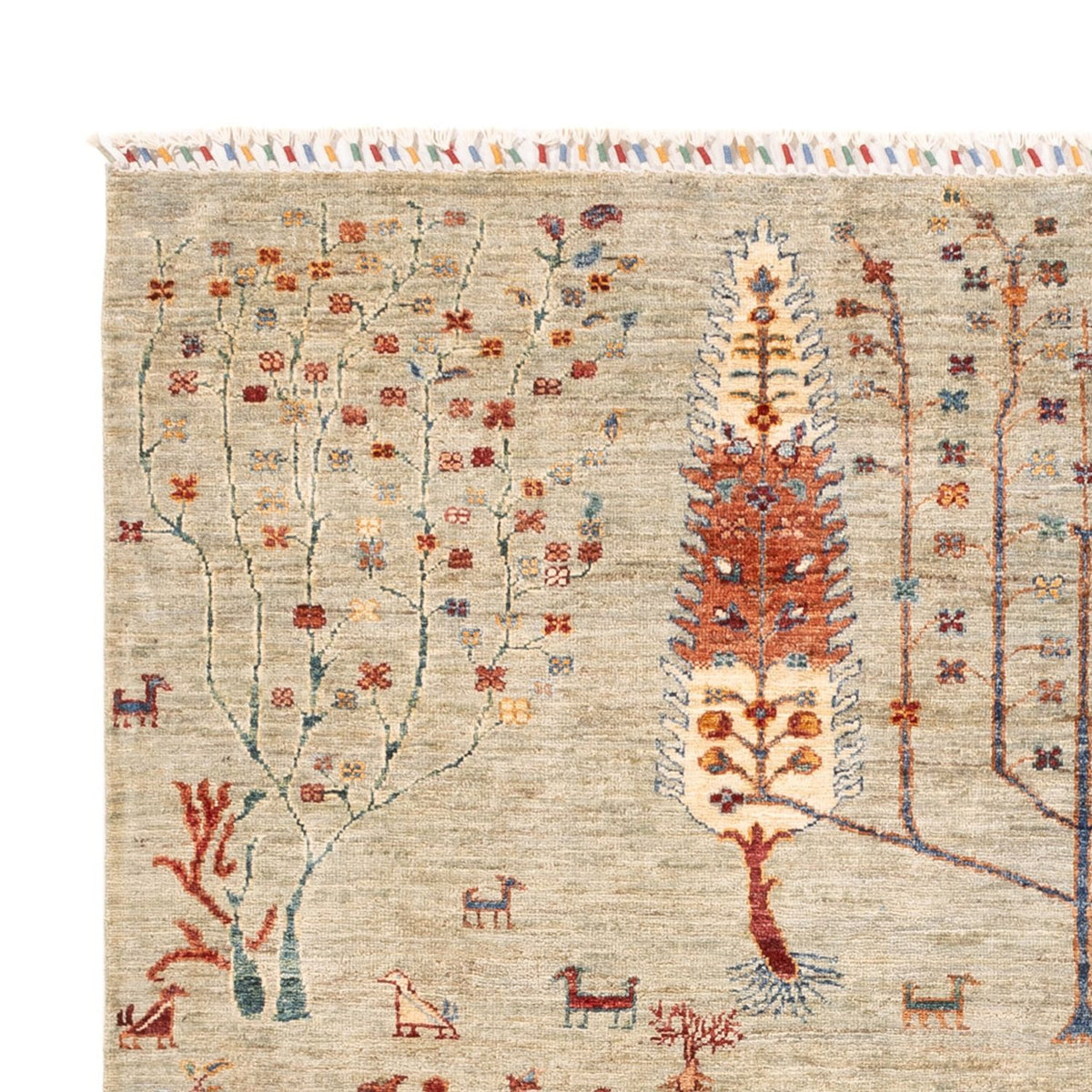 Ziegler Carpet - Ariana - 240 x 173 cm - ljusgrå