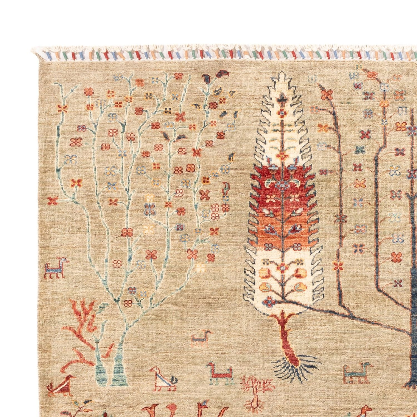 Ariana Mattan 235x172cm - Oriental Carpet