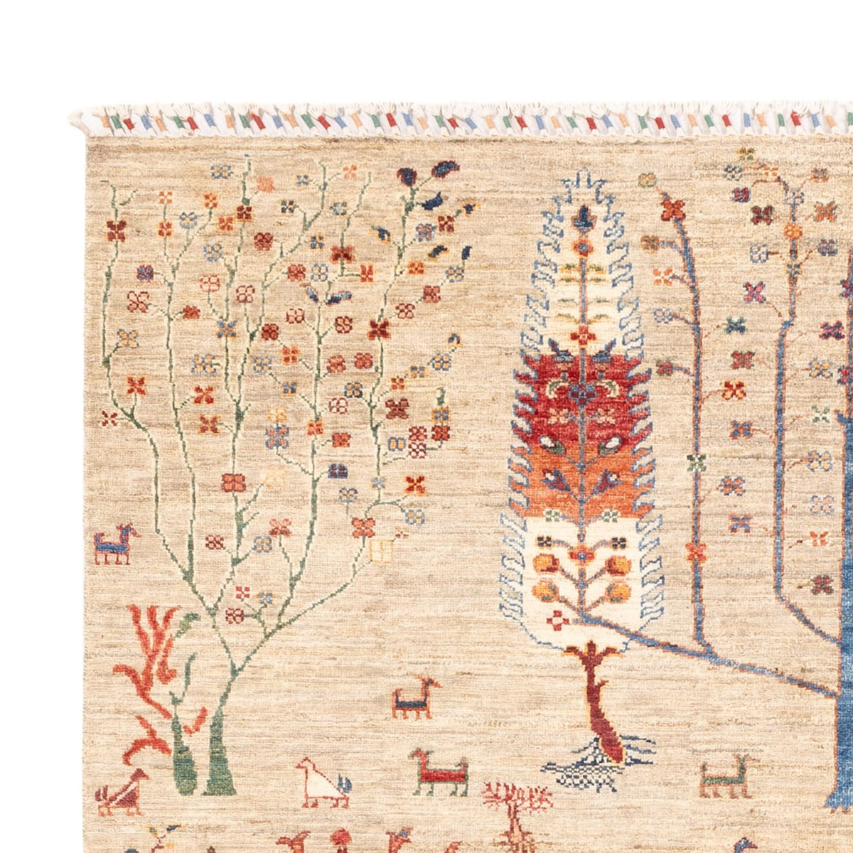 Ziegler Carpet - Ariana - 232 x 168 cm - ljusgrå