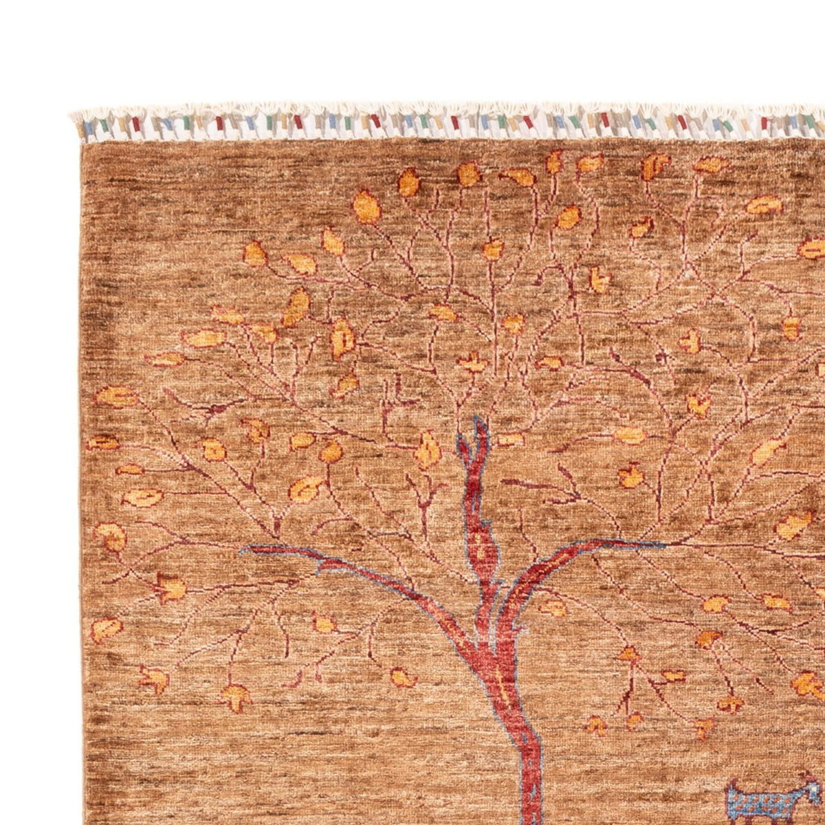 Ziegler Carpet - Ariana - 245 x 174 cm - mörk beige