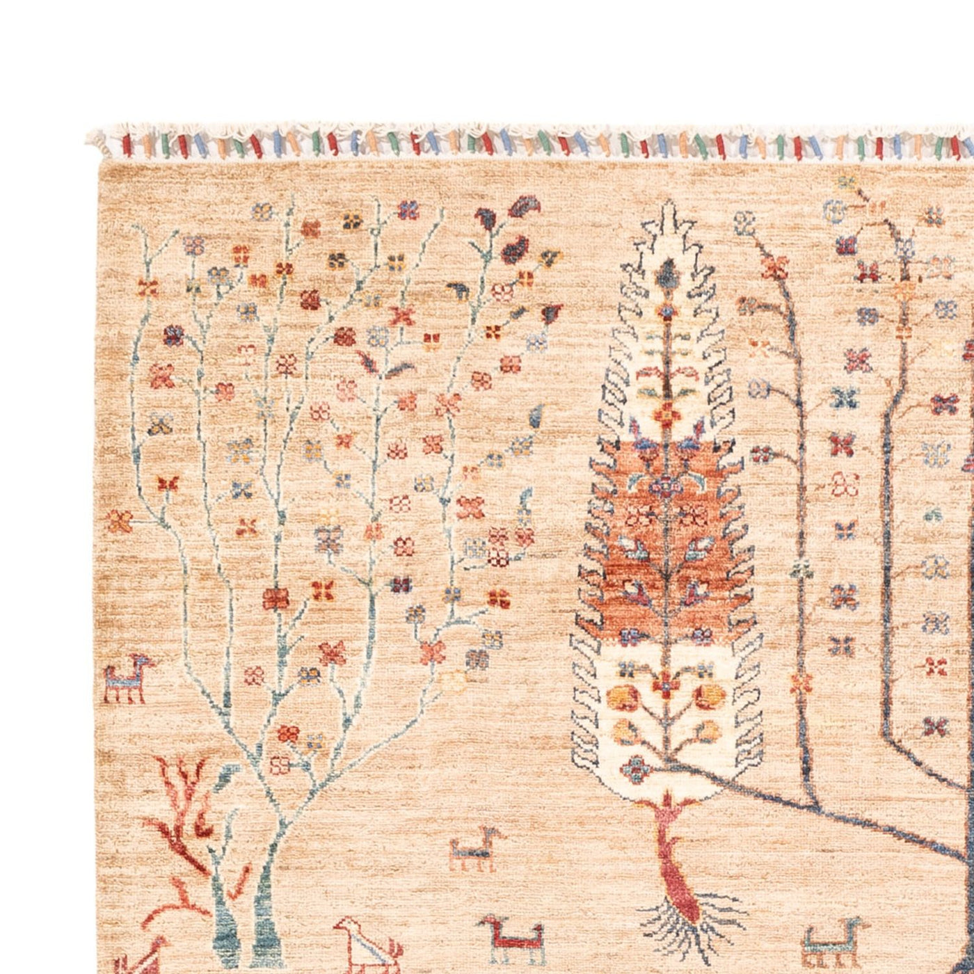 Ariana Mattan 230x170cm - Oriental Carpet