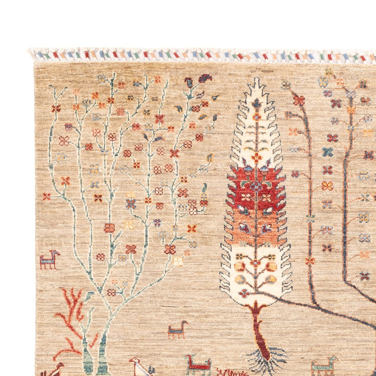 Ariana Mattan 169x235cm - Oriental Carpet