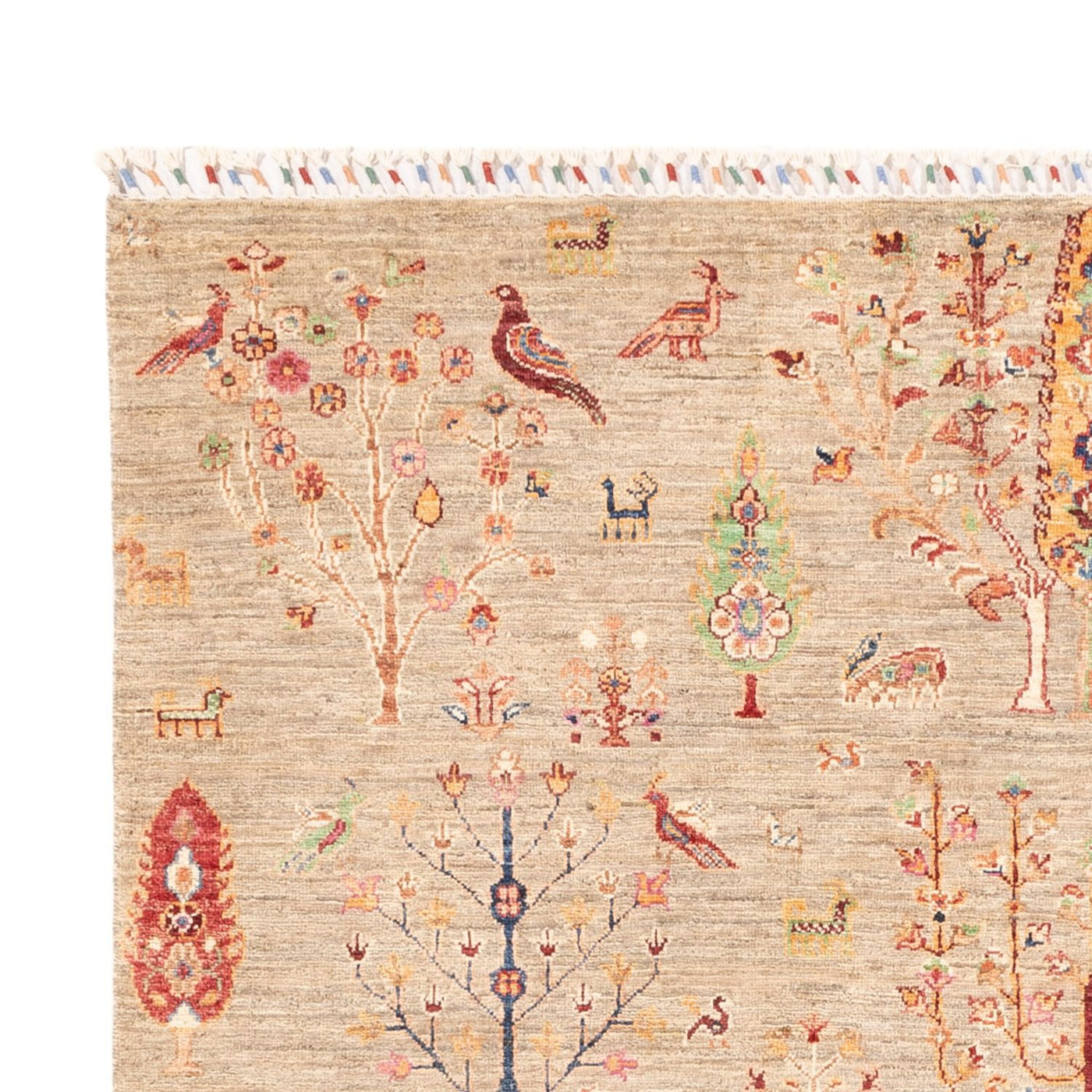Ariana Mattan 242x169cm - Oriental Carpet