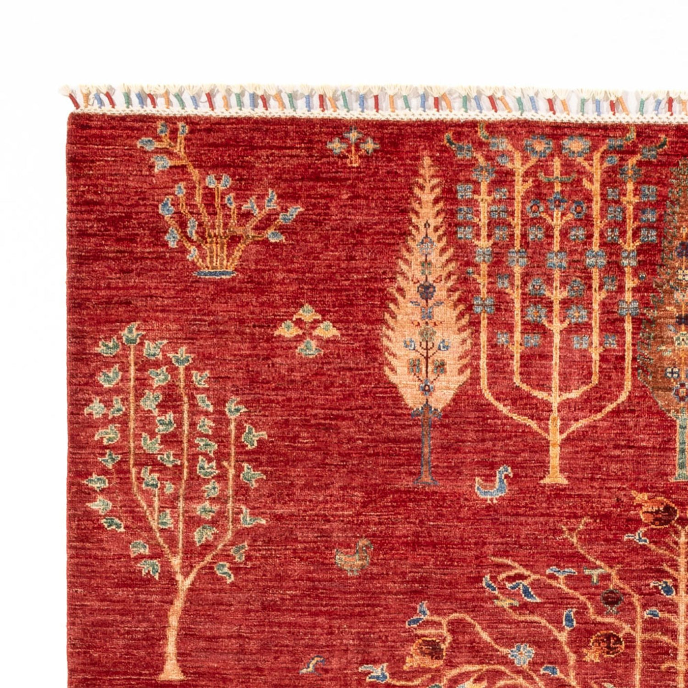 Ariana Mattan 237x174cm - Oriental Carpet