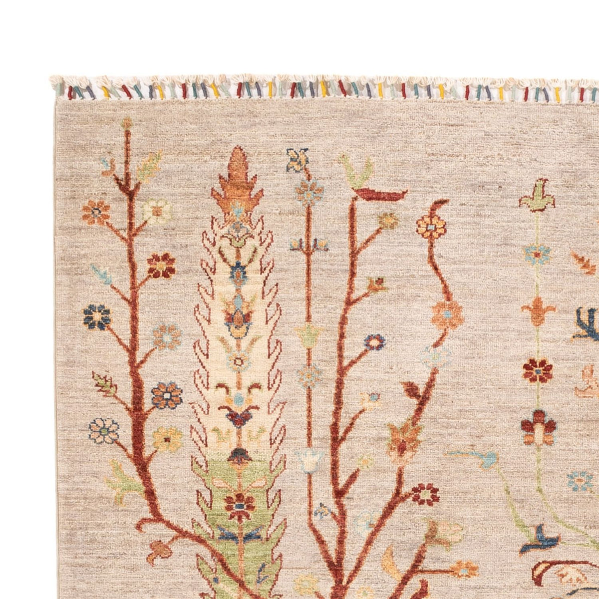 Ziegler Carpet - Ariana - 239 x 167 cm - grädde